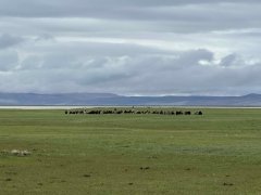 辉煌60载 魅力新西藏丨玛旁雍